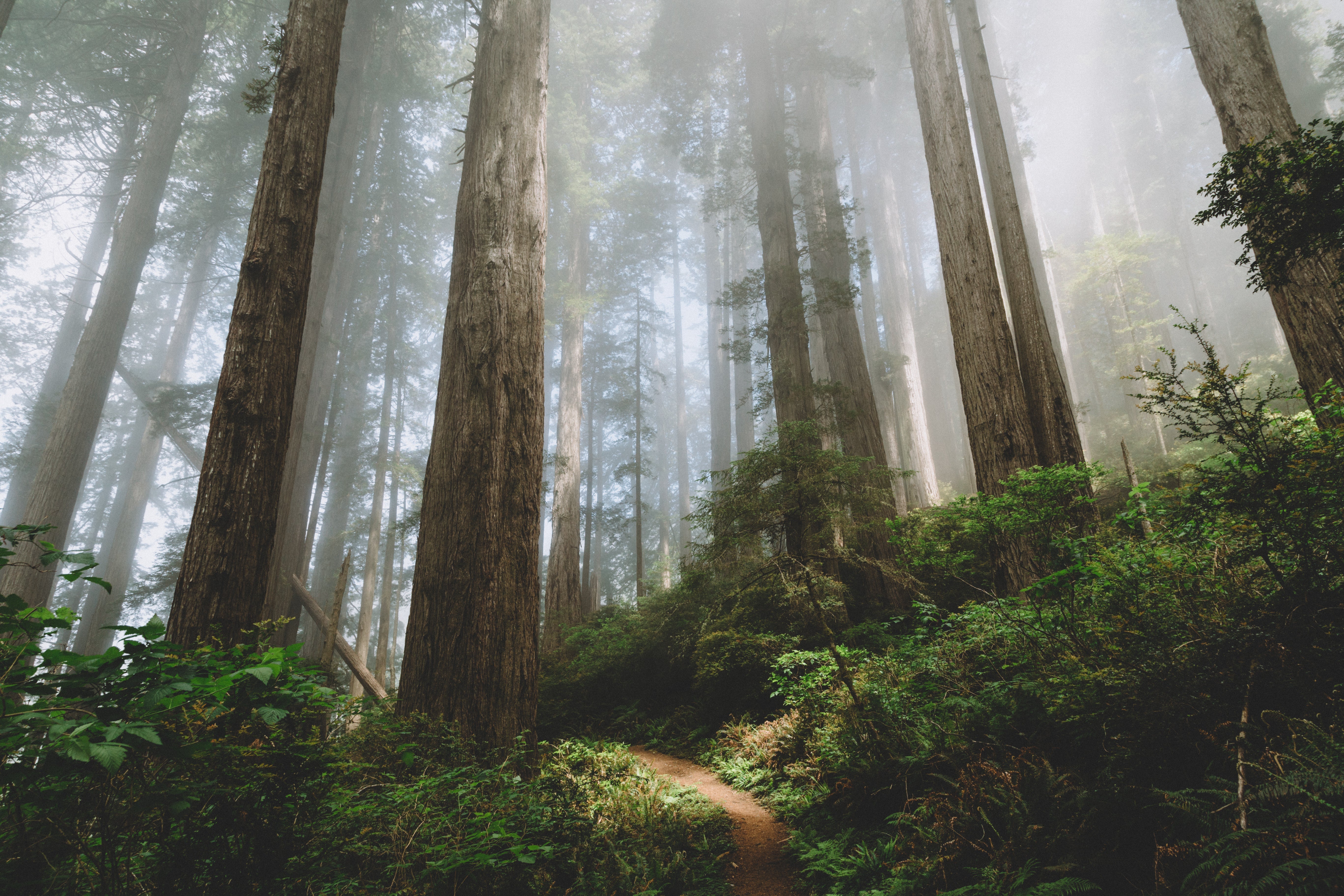 The Best Boondocking Spots in Washington